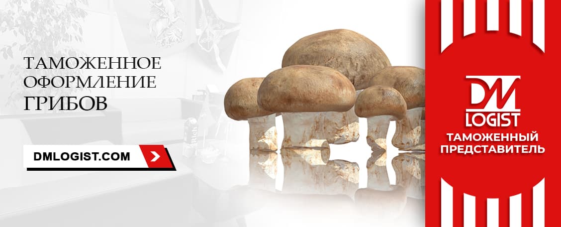 Таможенное оформление грибов